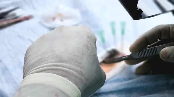 BMW in Medical Terms What It Really Means and Why It Matters